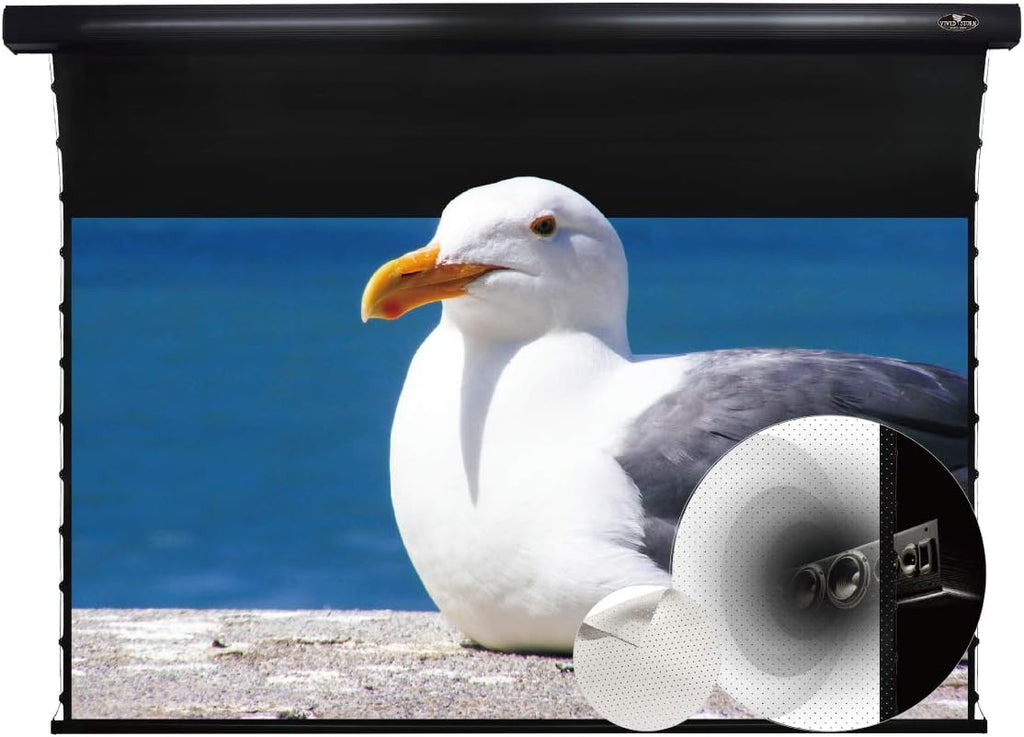 Motorized Tension Projector Screen I75802
