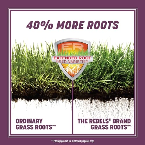 Tall Fescue Grass Seed Mix 20 lb Y76092