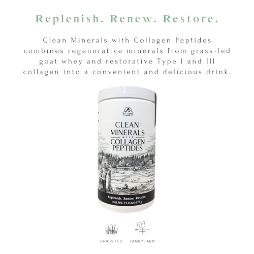 Hot Cocoa Clean Minerals with Collagen Peptides 675 G X1240