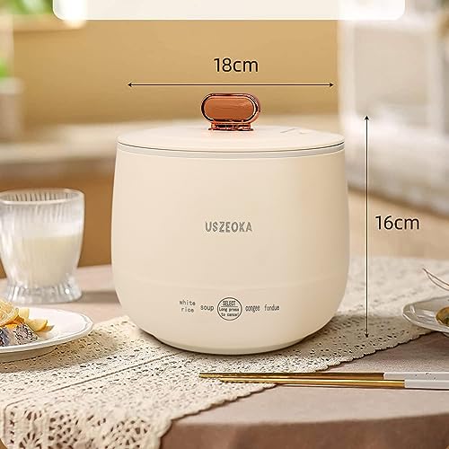 Blue Mini Stainless Steel Rice Cooker Z6573
