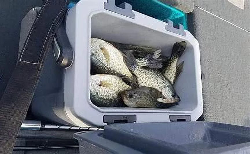 Fishing Reel W677