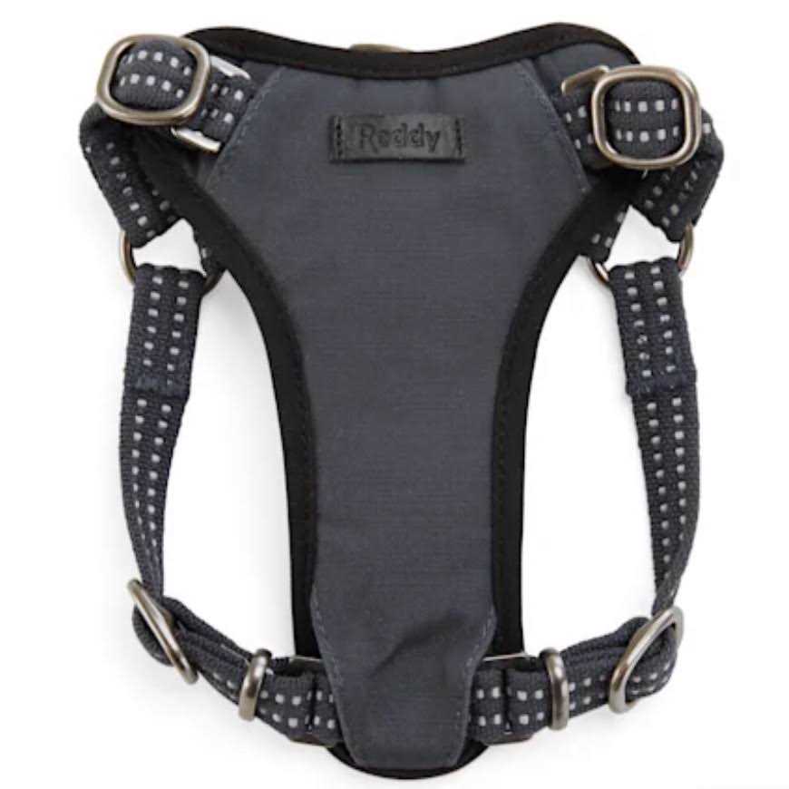 Small Dog Harness Y15753