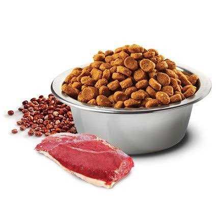 Quinoa Digestion Lamb Pet Supplies B25073