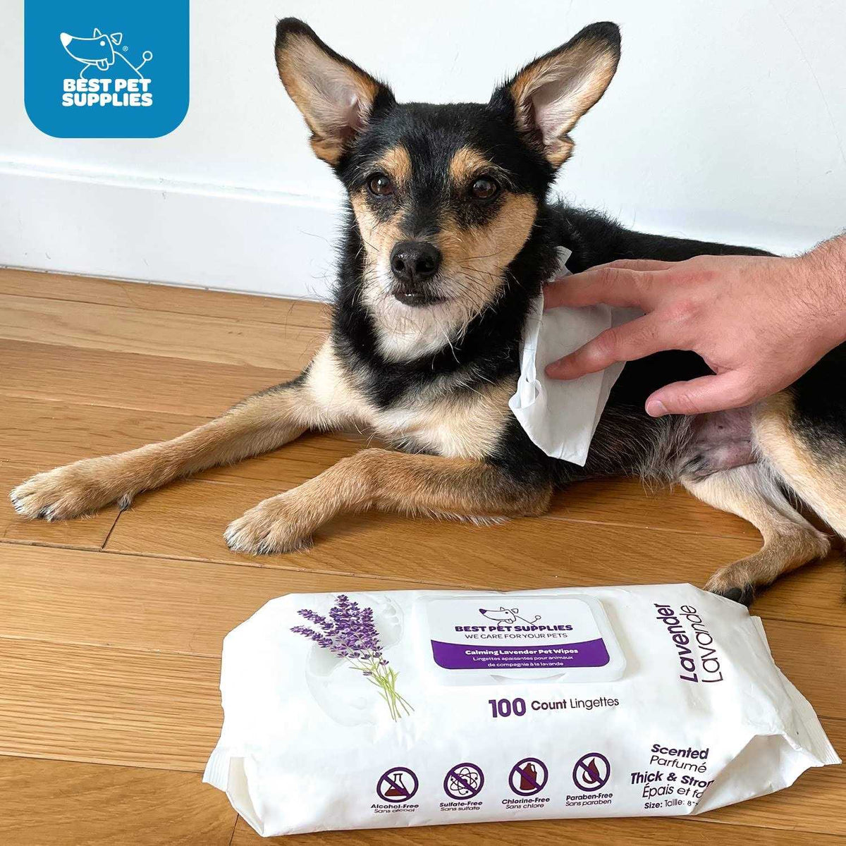 Plant-Based Pet Grooming Wipes 400 Pack Z124362