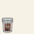 Satin Exterior Paint (5-Gallon) D692746