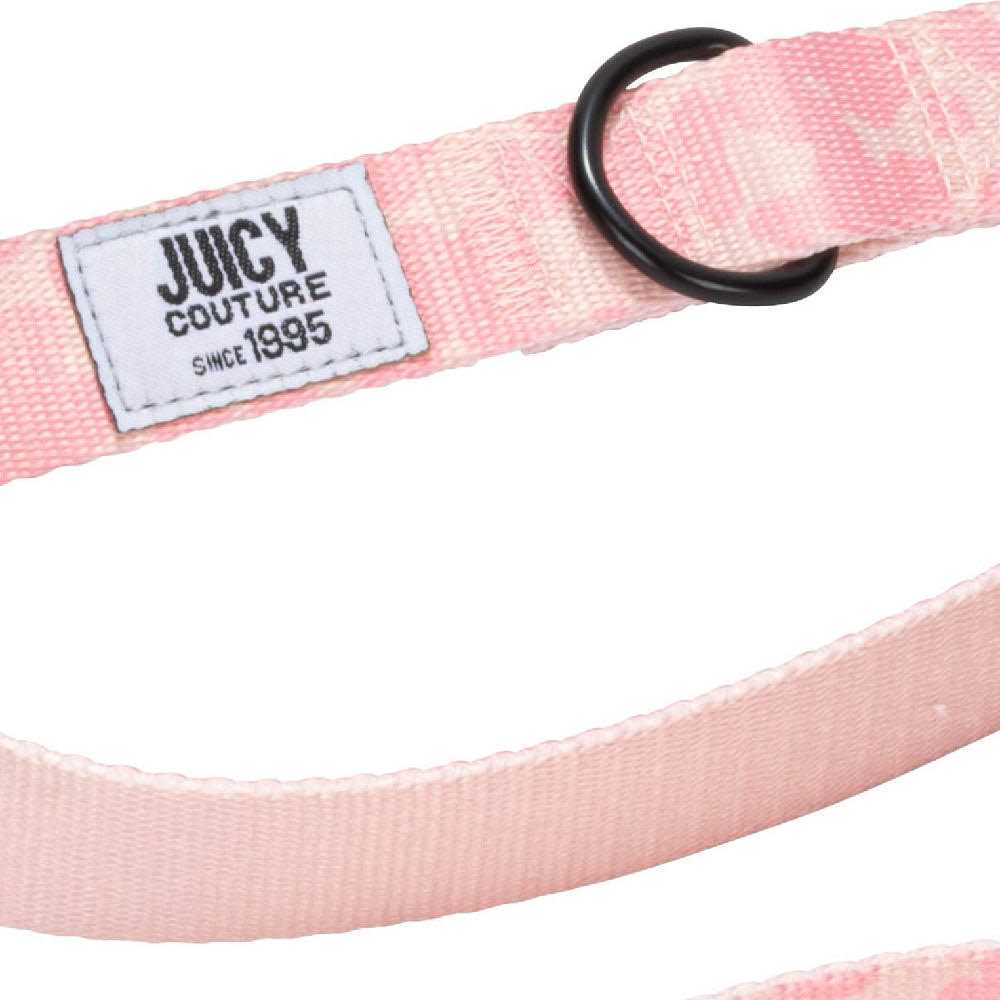 Harness & Leash Set Y461