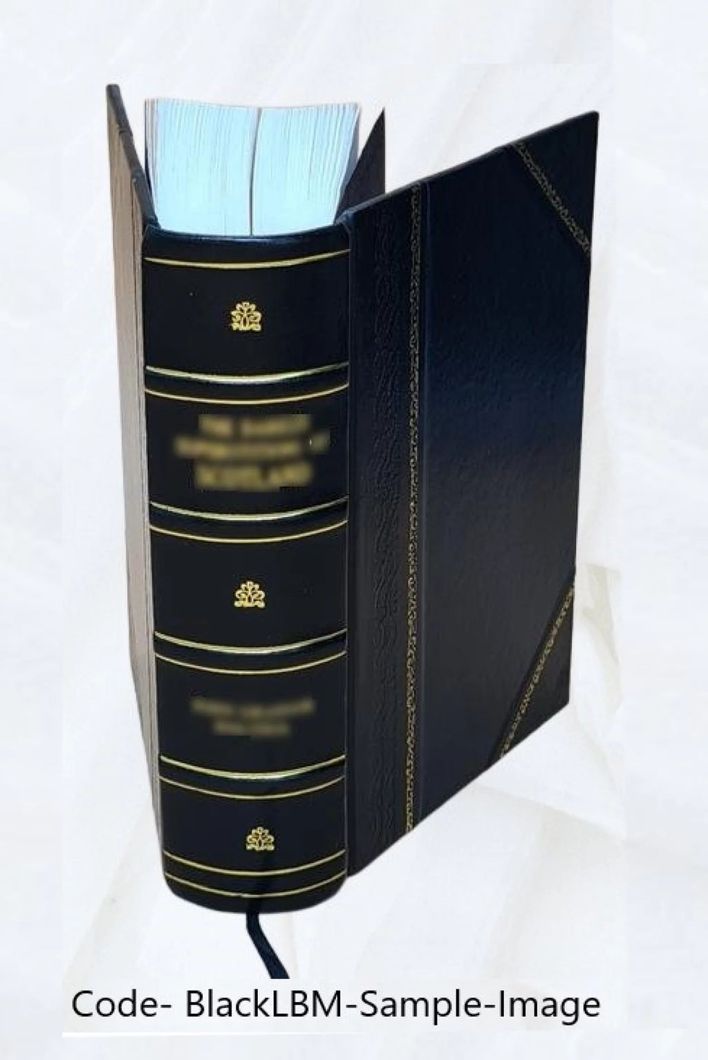 Chemistry Dictionary Y376