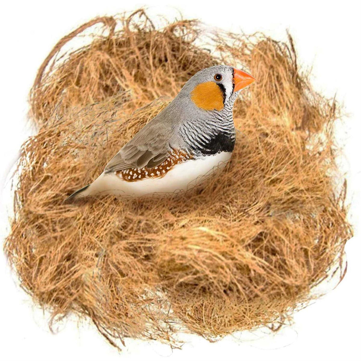 Finch Coconut Fiber Loose Bedding Substrate for Bird Cages L26351