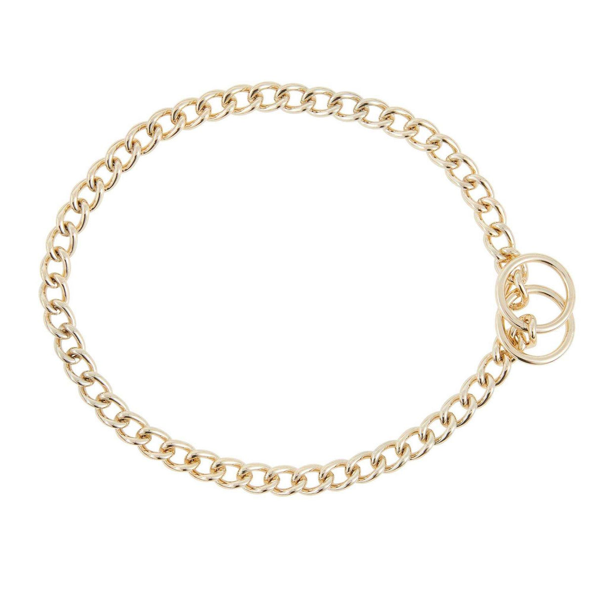 Choke Chain Dog Collar N702085