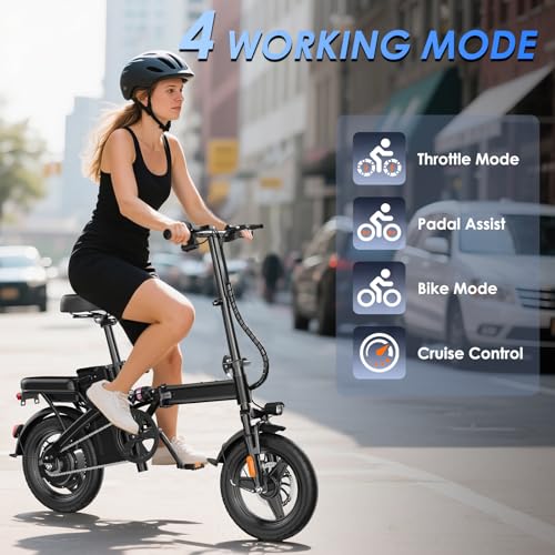 Folding Electric Bike 500W Motor 48V 13Ah Removable Battery Z937