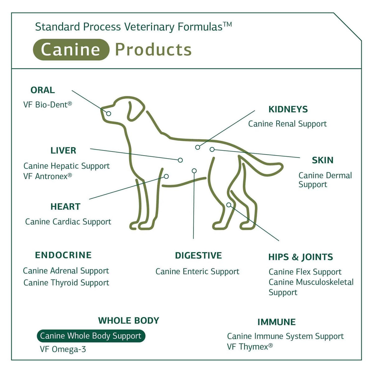 Canine Whole Body Support Y335