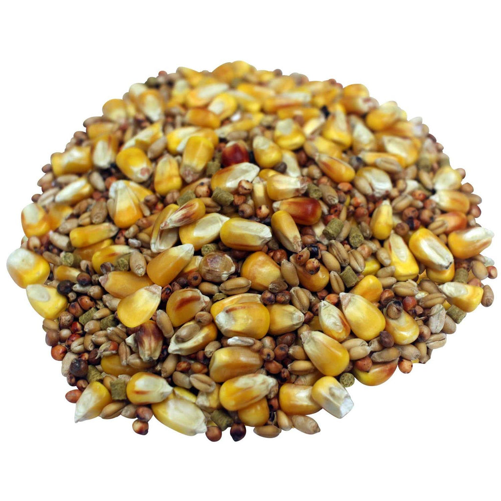Bird Food S74349