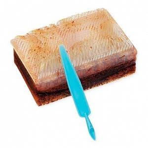 Surgical Brushes Impregnated with 3% Chloroxylenol 30/bx L195730