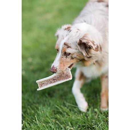 Split Elk Antlers for Dogs R4049