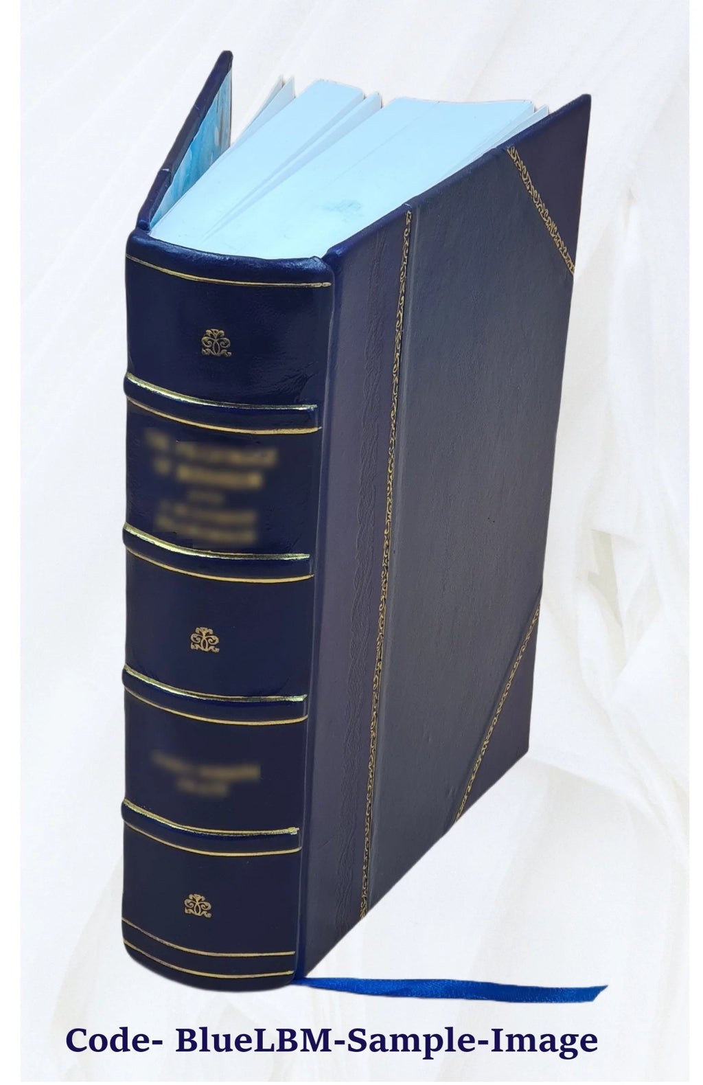 Chemistry Dictionary Y376
