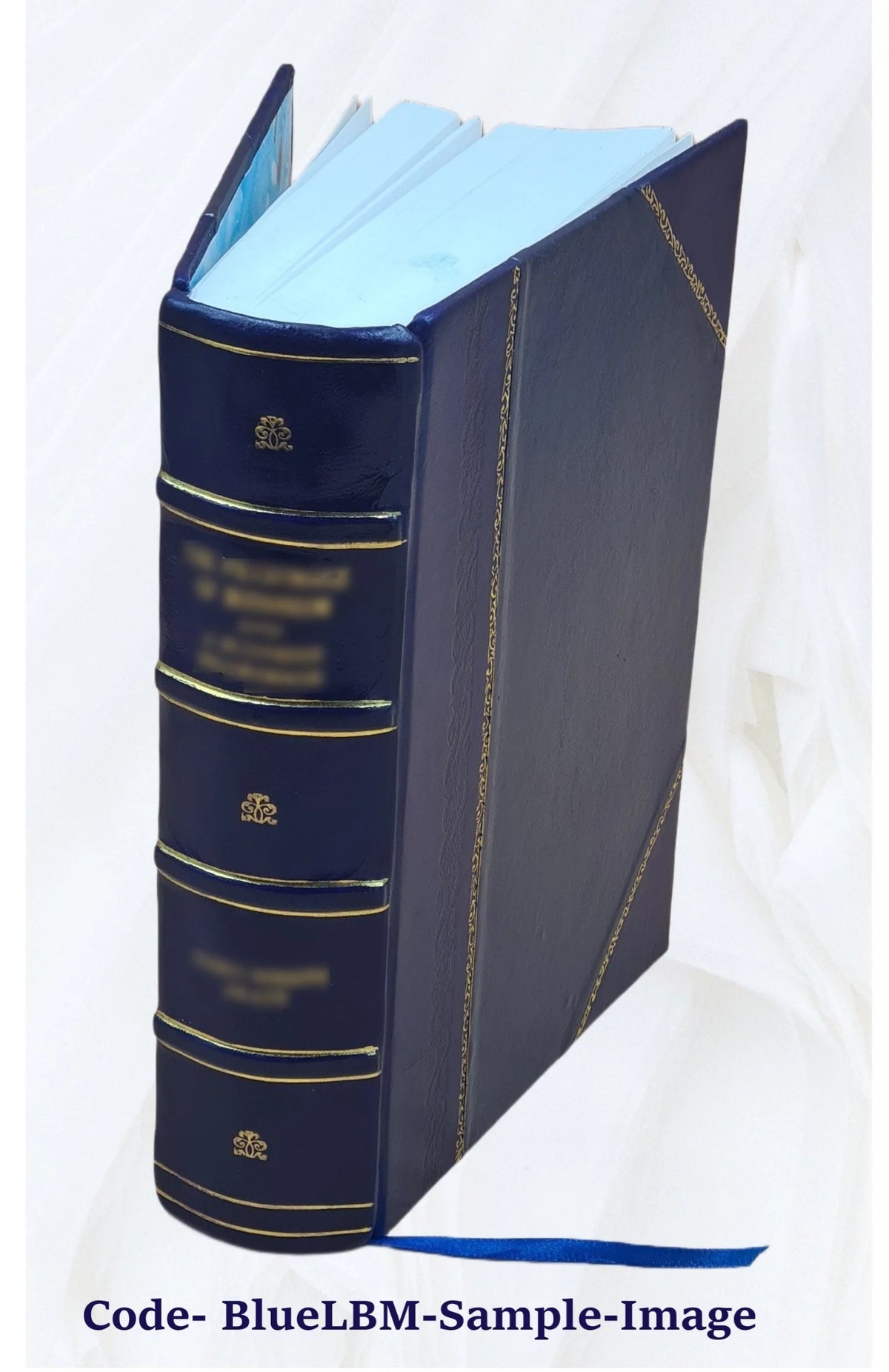 Chemistry Dictionary Y376