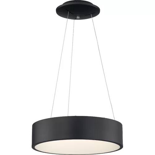 Black 1-Light LED Pendant T9928