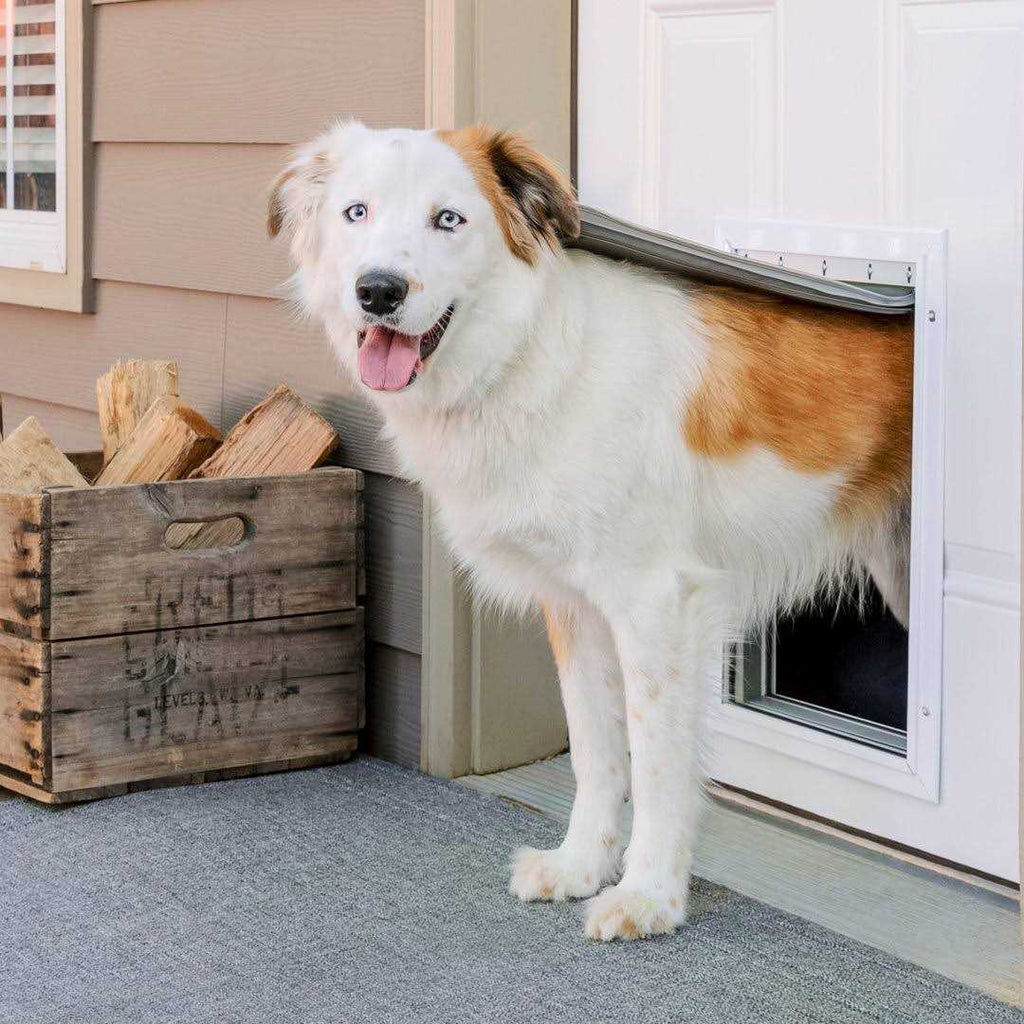 Aluminum Pet Door B268450