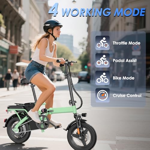 Folding Electric Bike 500W Motor 48V 13Ah Removable Battery Z937