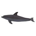 Bottlenose Dolphin Animal Figure J938988