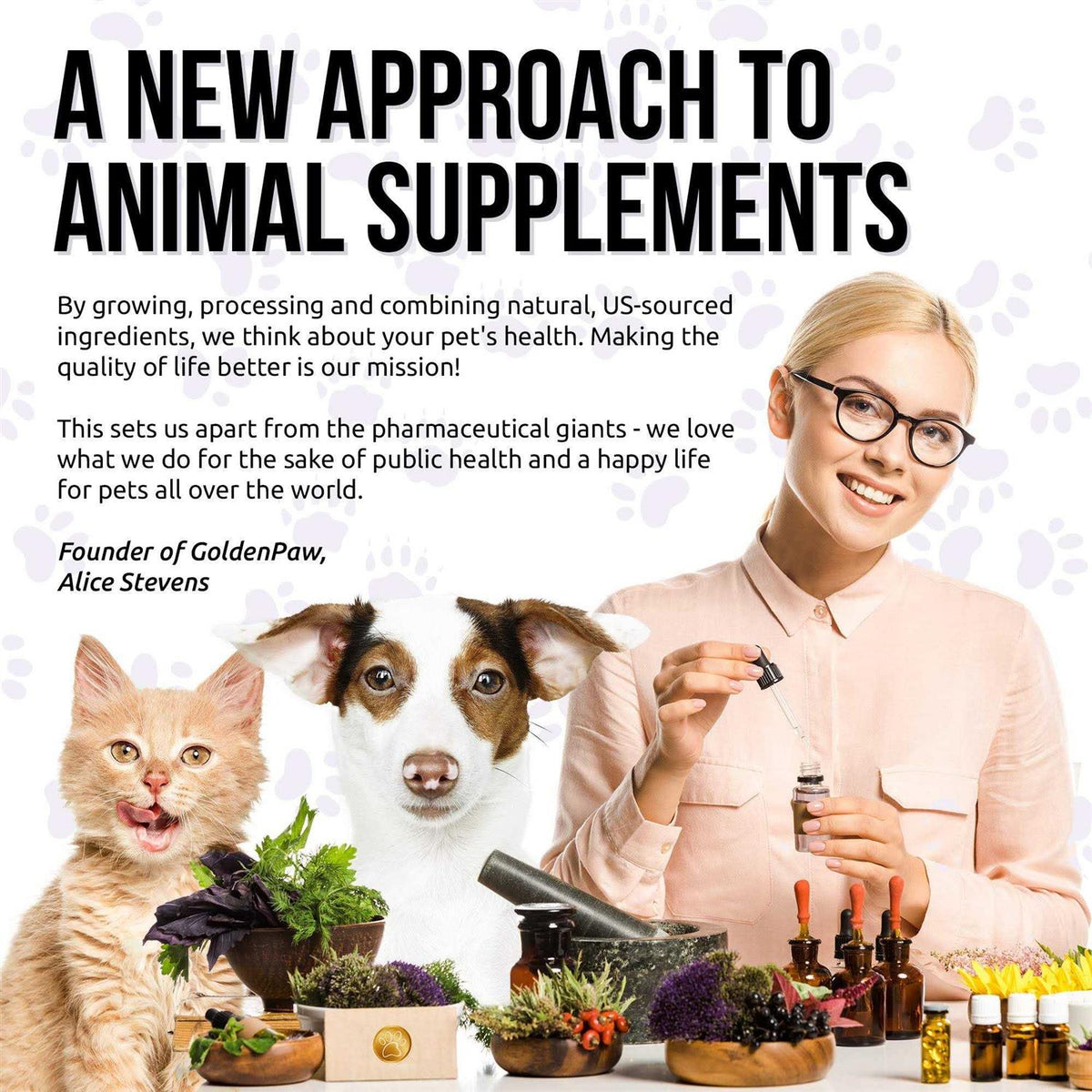 10 In 1 Cat & Dog Hip & Joint Multivitamin C48328