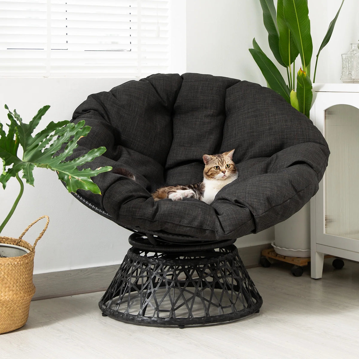 Black Papasan Chair with Steel Frame M8293