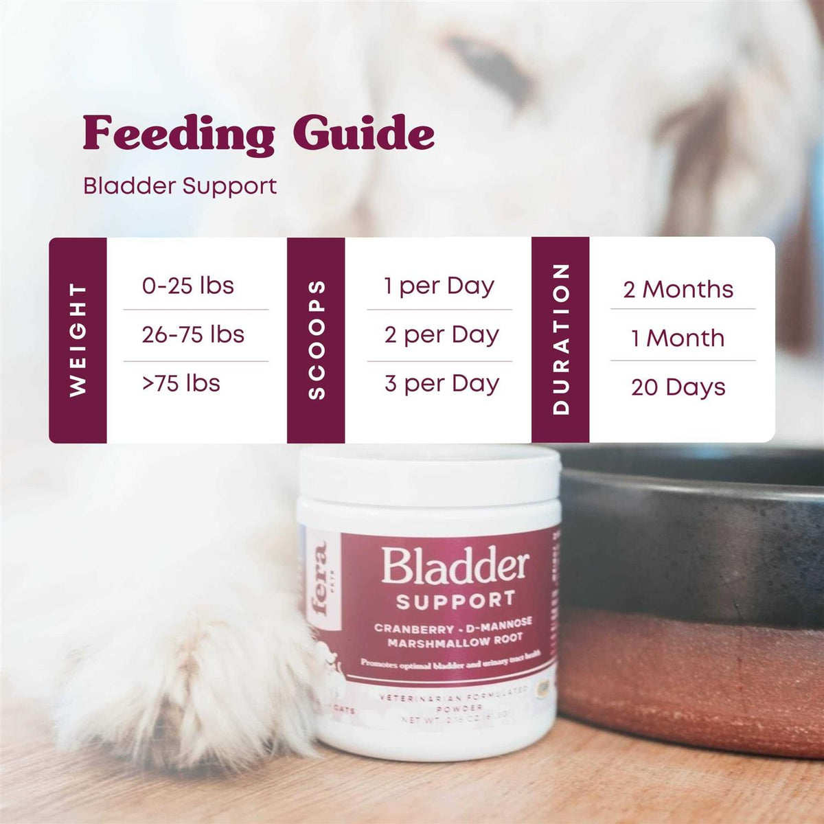 Bladder Support for Dogs and Cats E510285