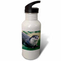 21 oz Sports Water Bottle F213648