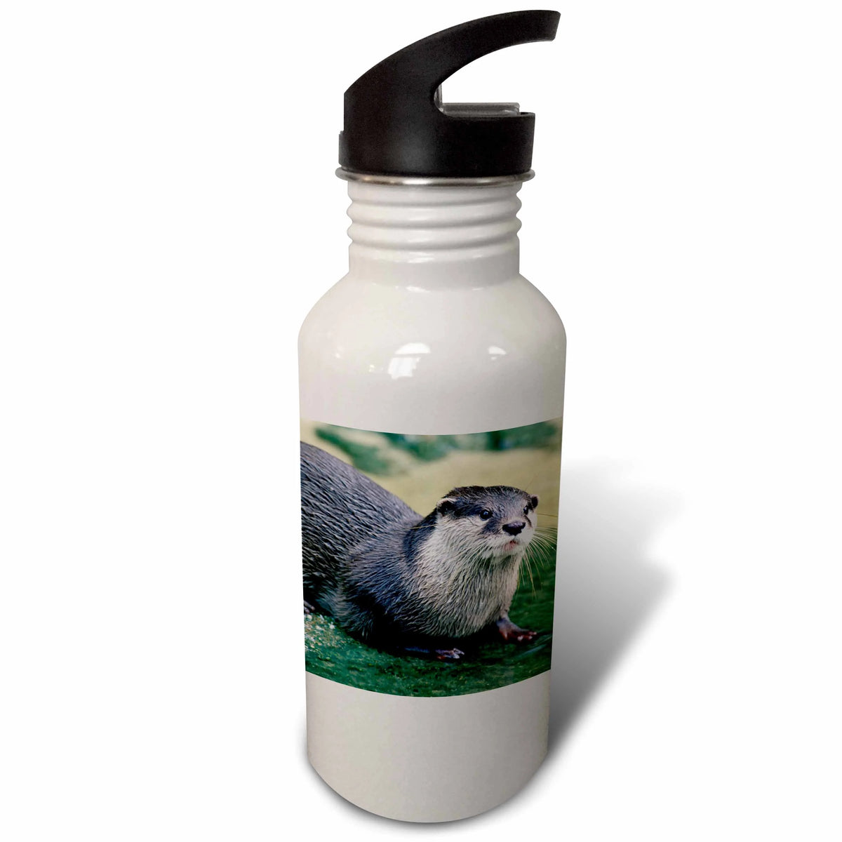 21 oz Sports Water Bottle F213648