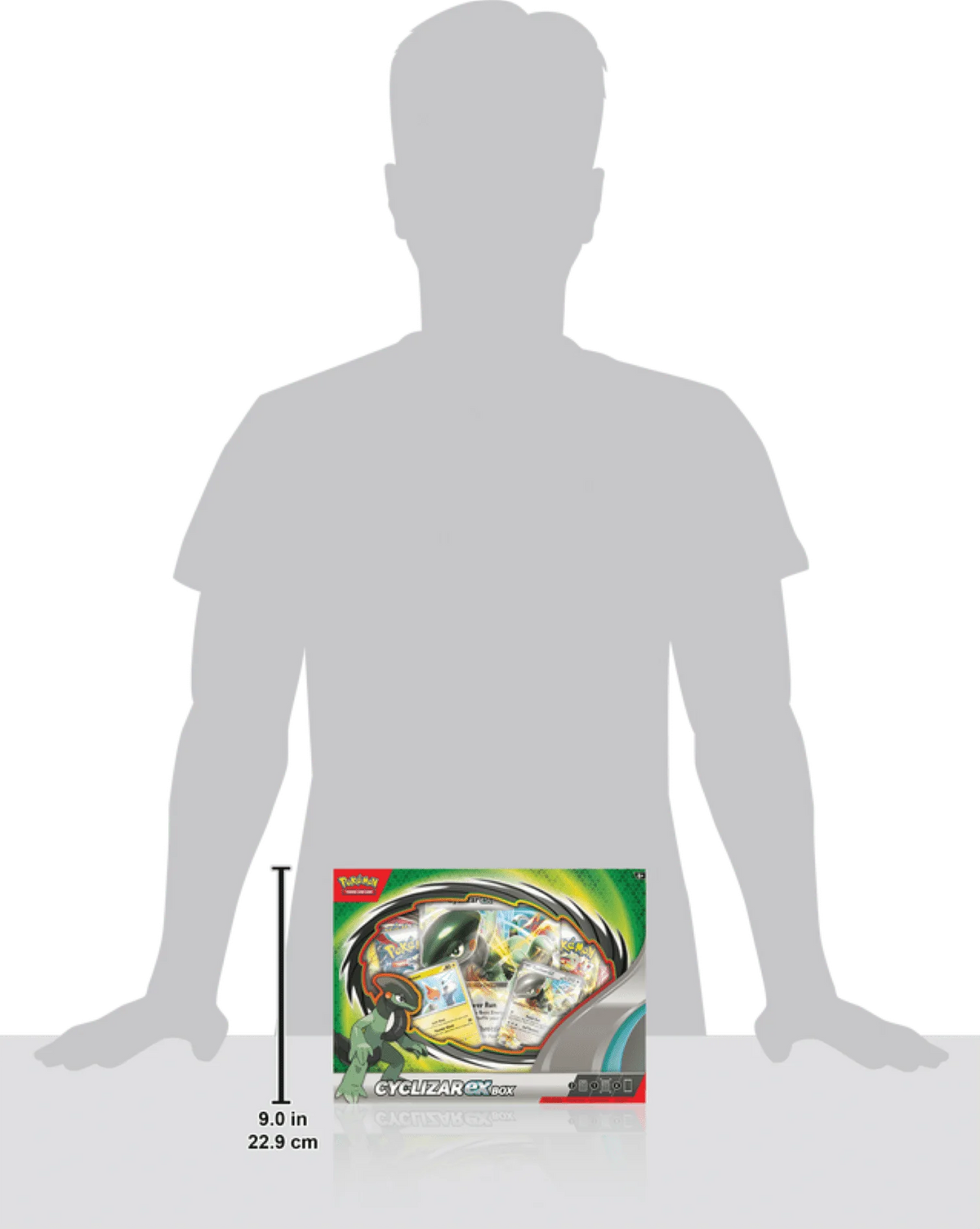 Pokemon Trading Card Games Box C784