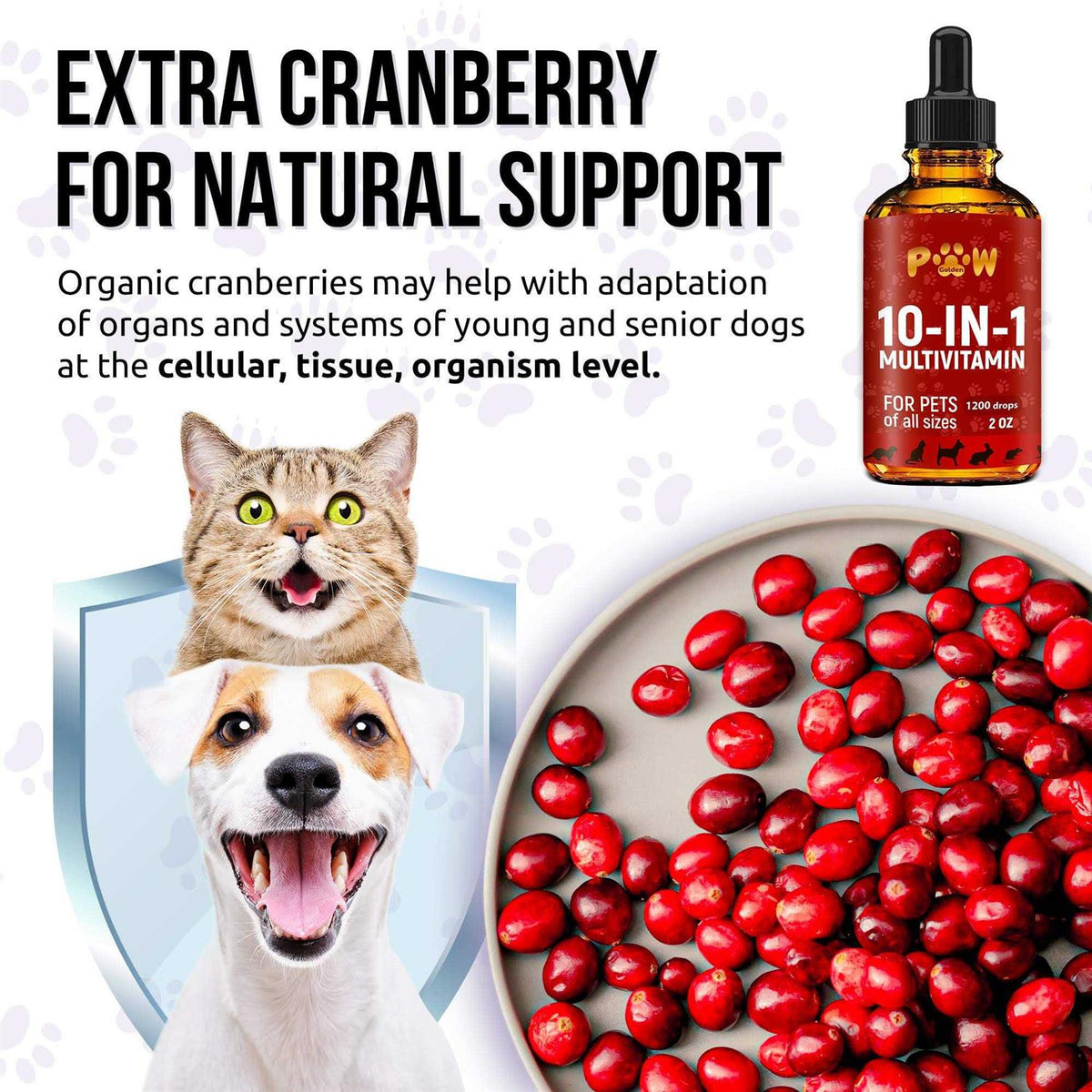 10 In 1 Cat & Dog Hip & Joint Multivitamin C48328