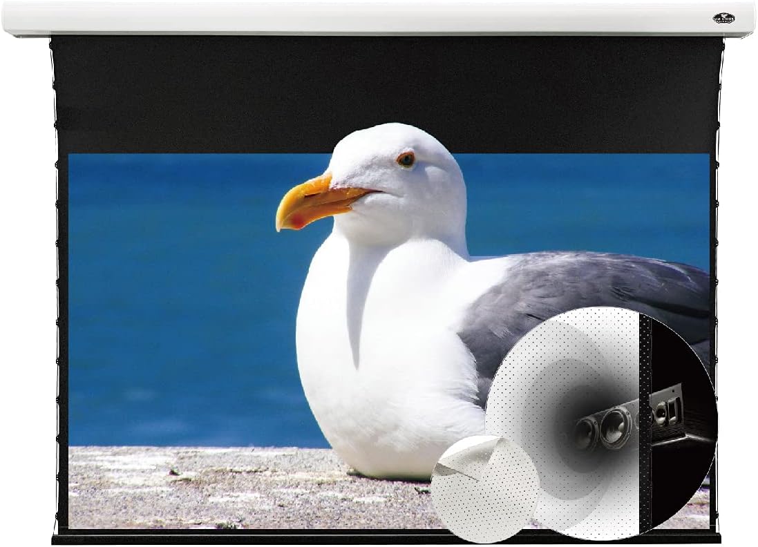 Motorized Tension Projector Screen I75802
