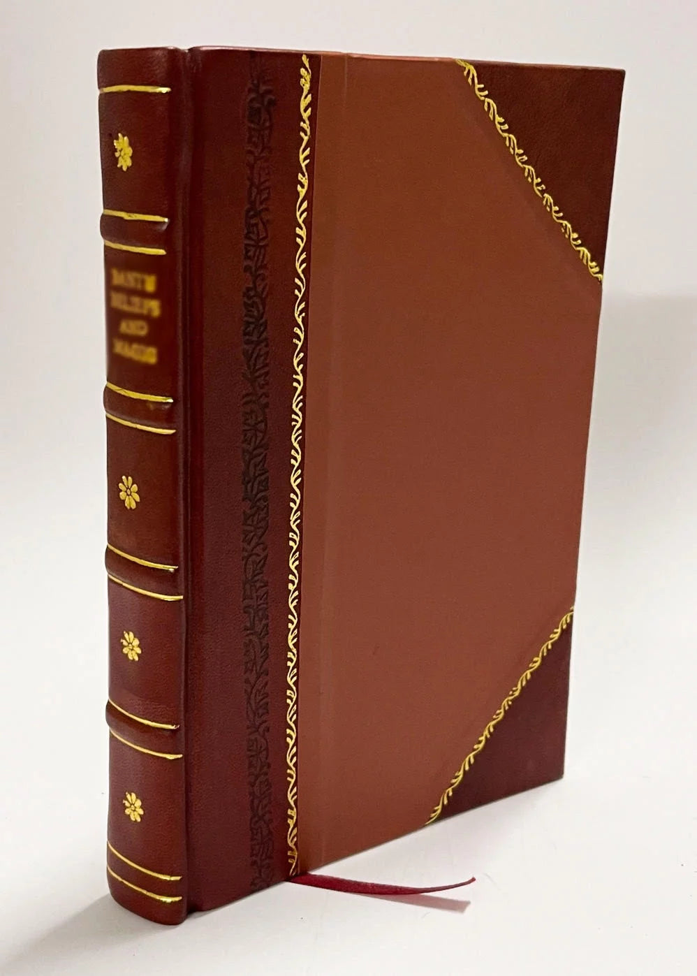 Flora Fanerogamica De La Peninsula Iberica Volume 1 Leather Bound V956