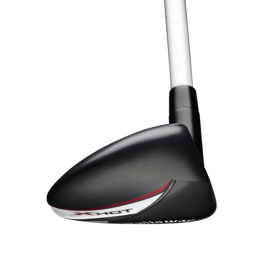 Hybrid V54699