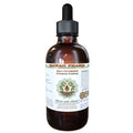 2 oz Sea Cucumber Glycerite Herbal Supplement U544