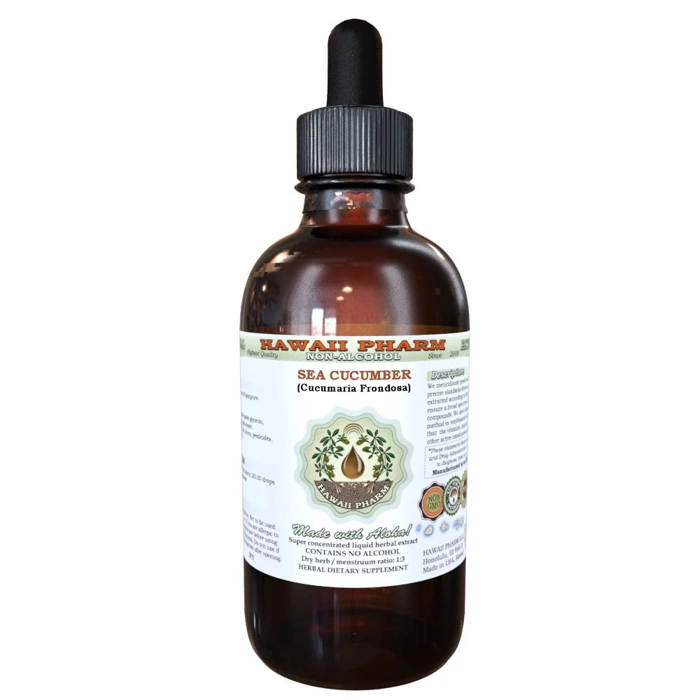 2 oz Sea Cucumber Glycerite Herbal Supplement U544
