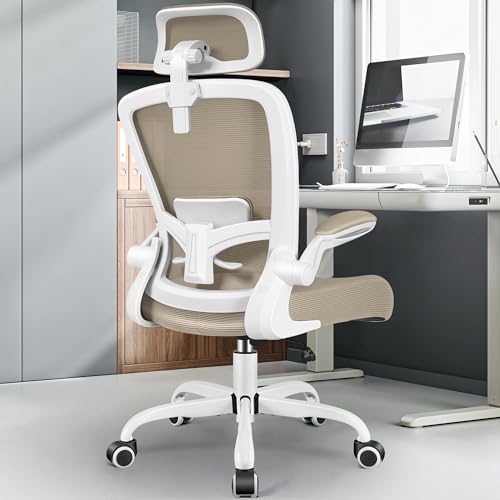 Black Ergonomic Office Chair with Lumbar Support B572