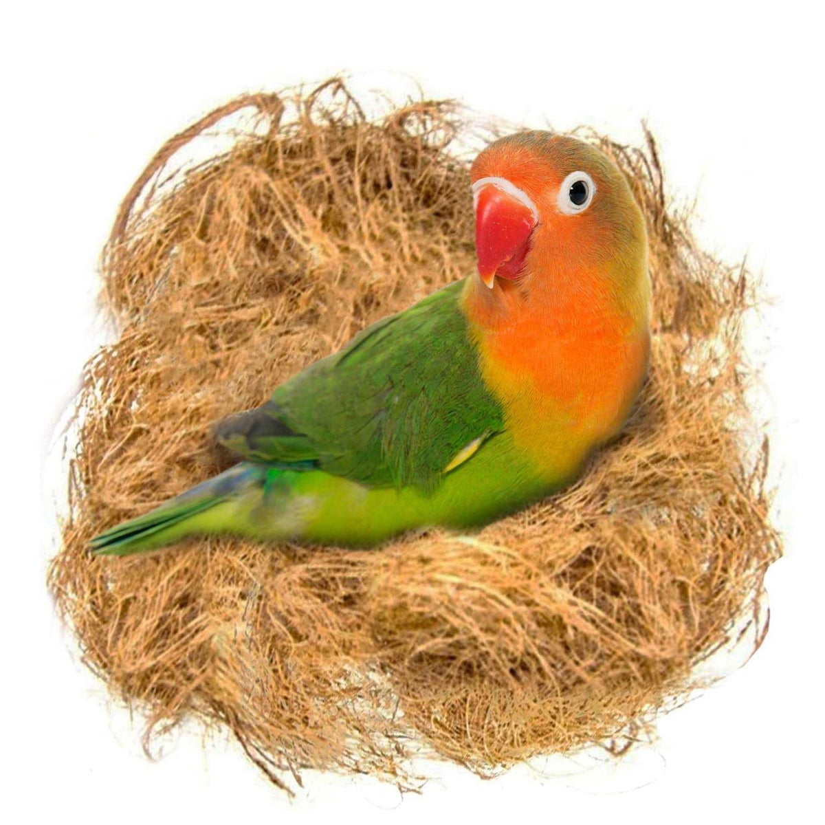 Finch Coconut Fiber Loose Bedding Substrate for Bird Cages L26351