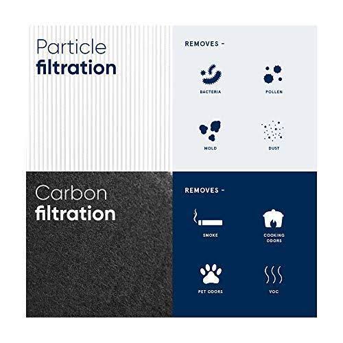 Blue Pure 121 Particle + Carbon Air Purifier Filter G2621