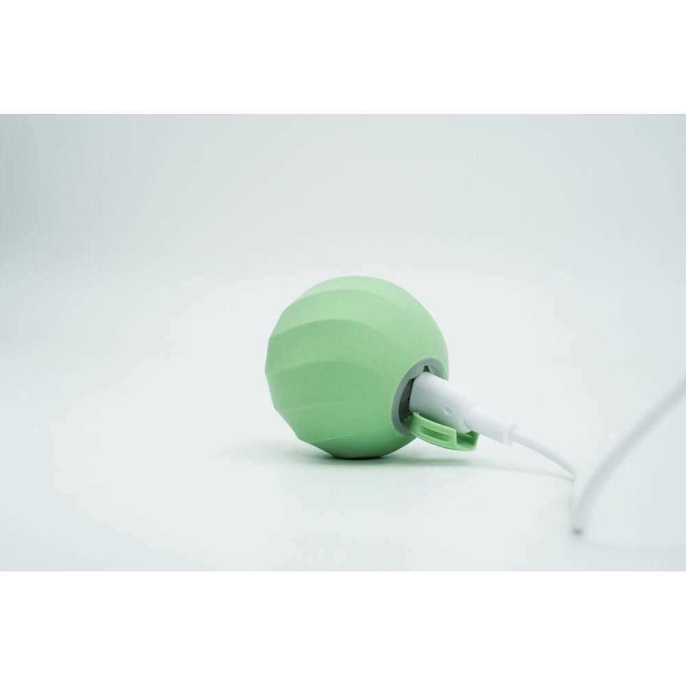 Interactive Cat Toy Ball H3358