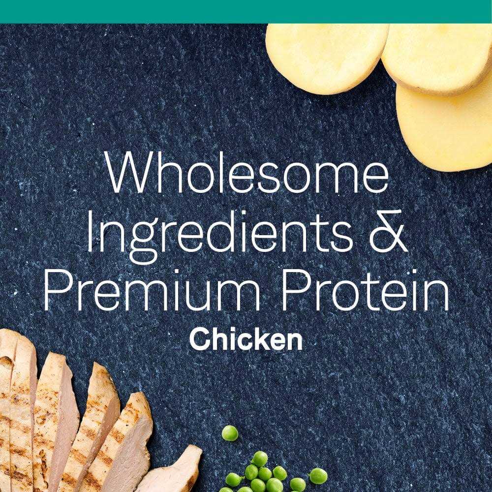 Grain Free Dry Cat Food X578498