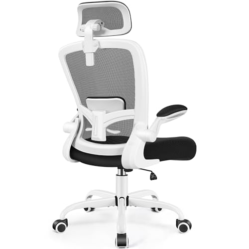 Black Ergonomic Office Chair with Lumbar Support B572