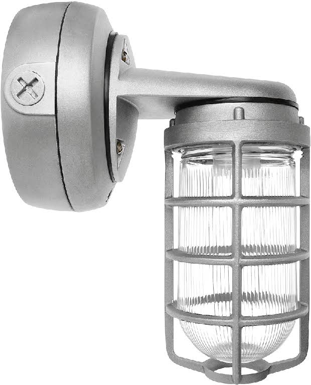 Silver Cast Globe L5783