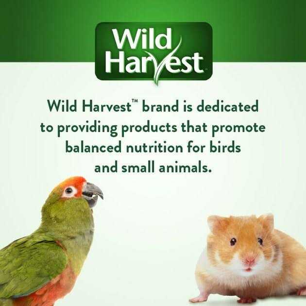 Sprout Blend Bird Treats M3944