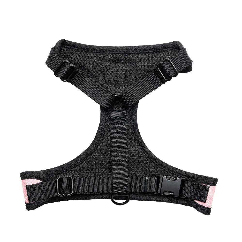 Harness & Leash Set Y461