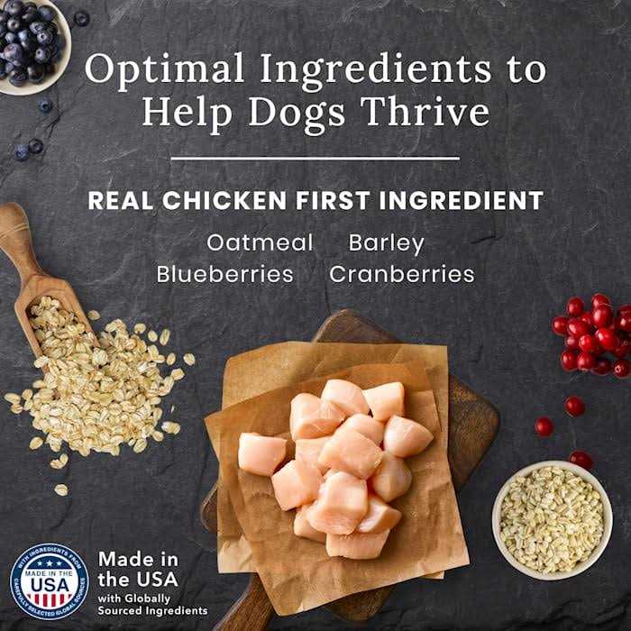 Senior Chicken Dry Dog Food W130442
