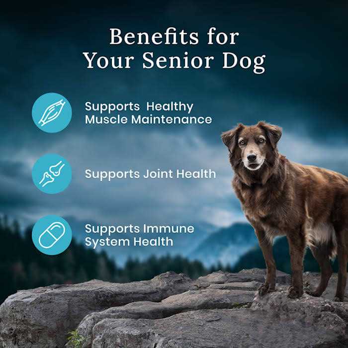 Senior Chicken Dry Dog Food W130442