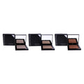 Compact Powder Highlighter 3 Pc Kit W103991