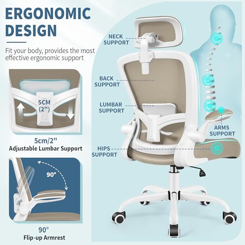 Black Ergonomic Office Chair with Lumbar Support B572