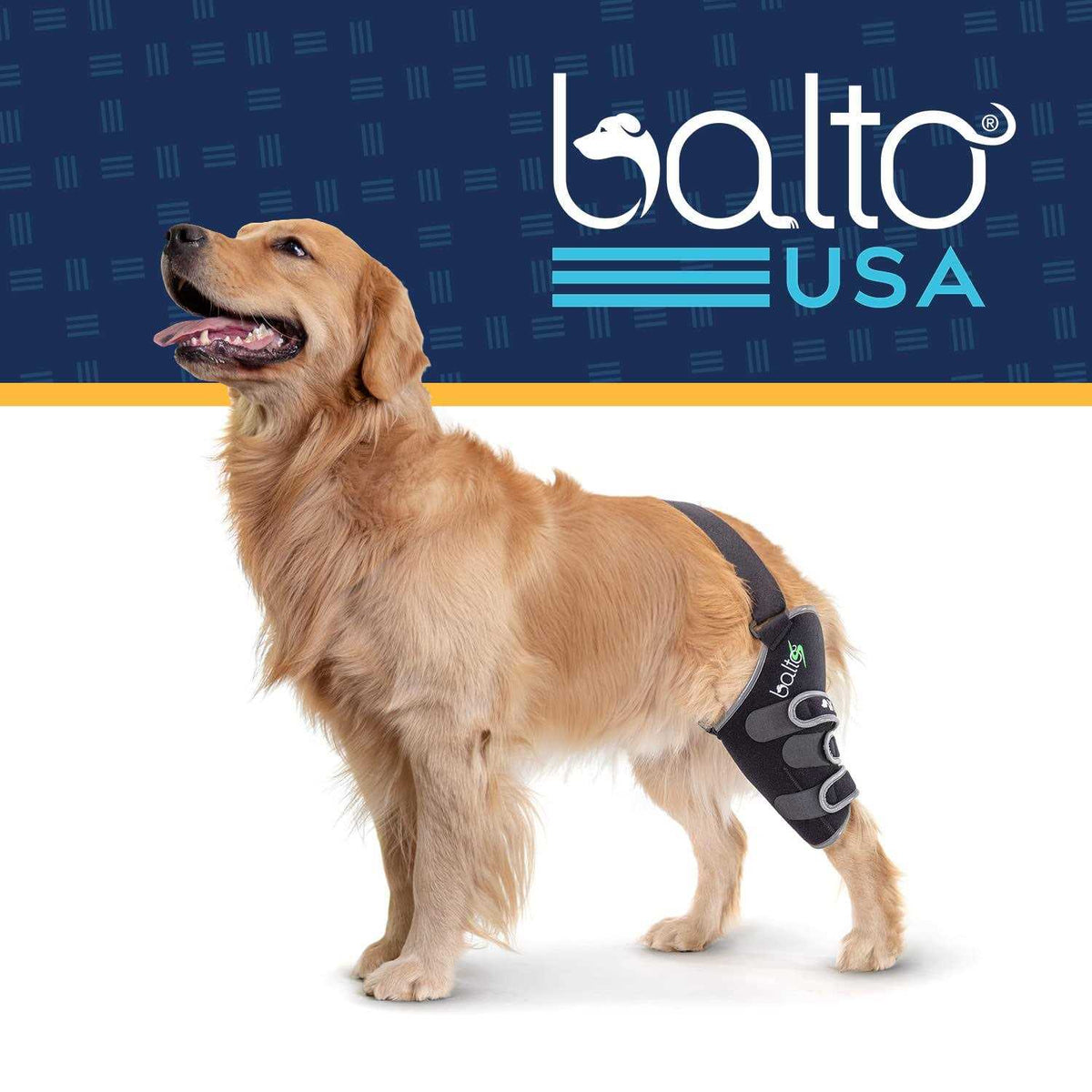 Soft Dog Knee Support B994870